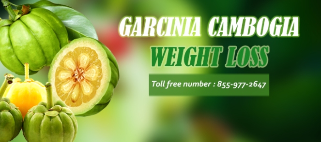 garcinia for weight loss
